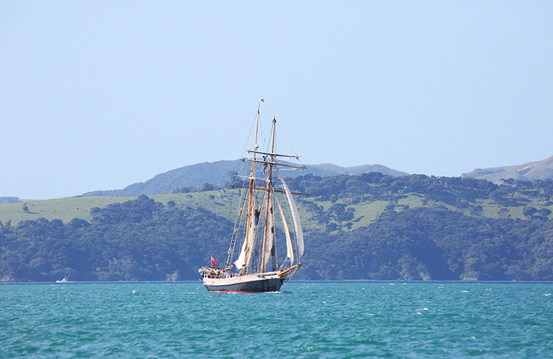 Sail on the R Tucker Thompson, Bay of Islands, NZ